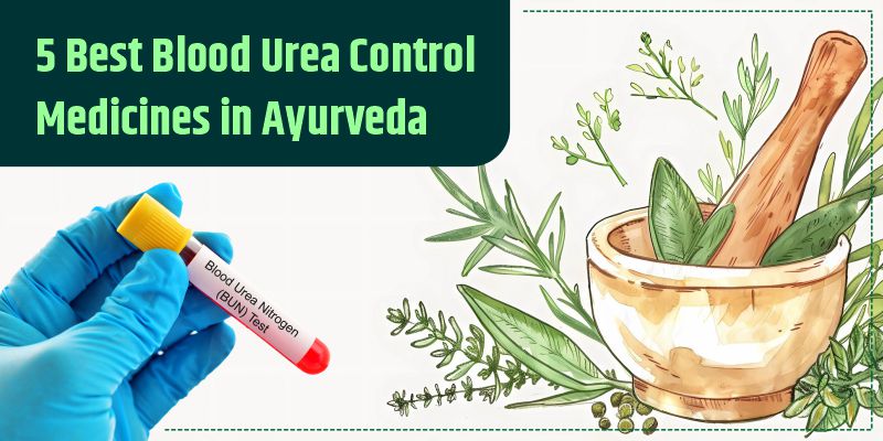 5 Best Blood Urea Control Medicines in Ayurveda